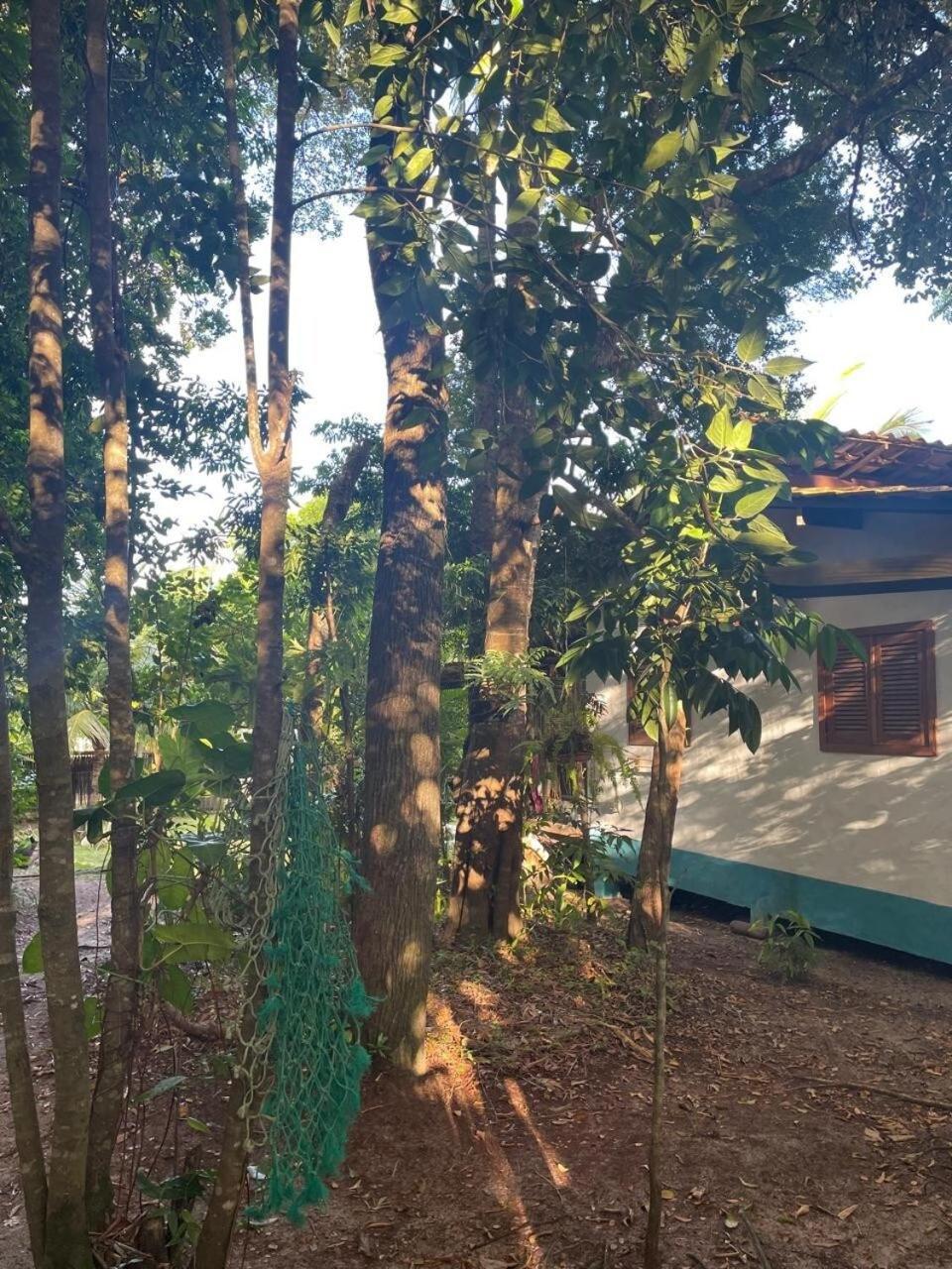 Privacidade, Sossego E Axe Em Taipu De Fora Barra Grande  Exterior photo